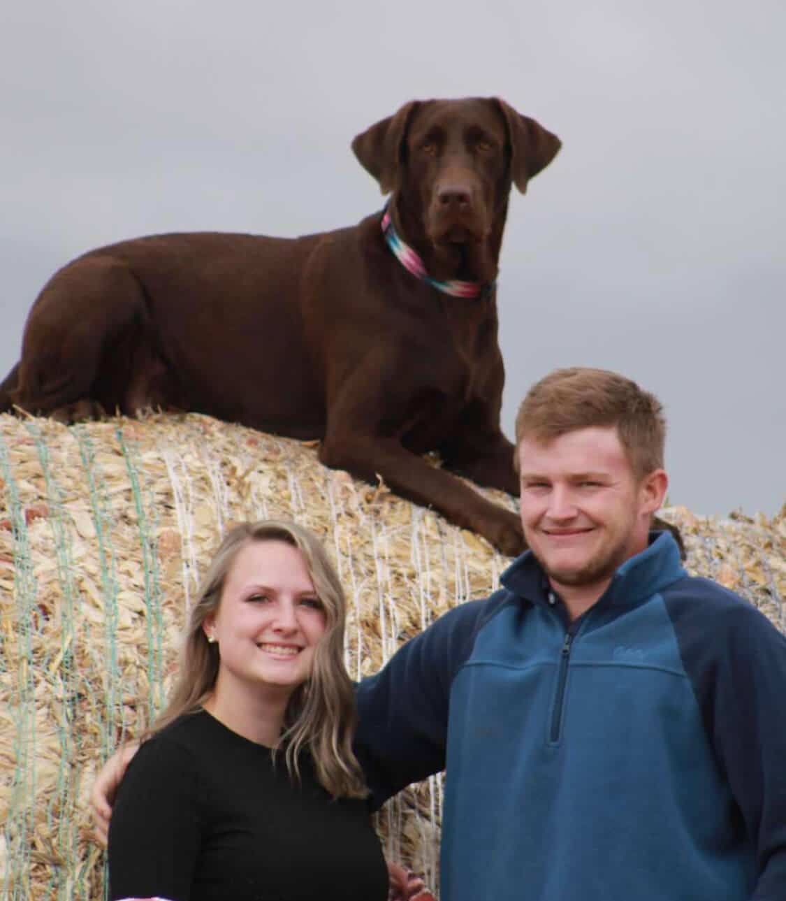 Man and woman with chocolate lab on a hay bale